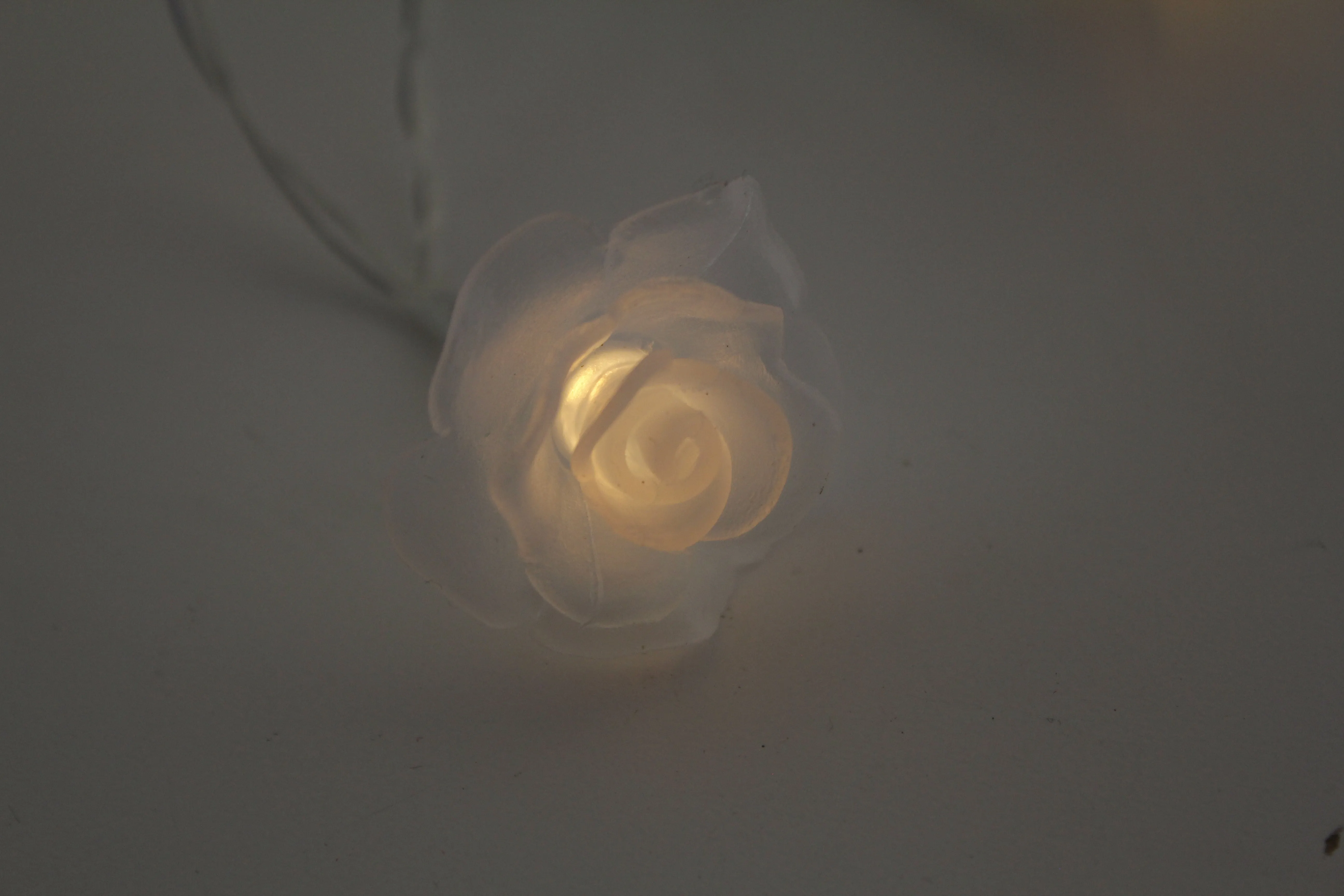 20 LED Lights Battery Operated with PVC Clear Rose - Warm White