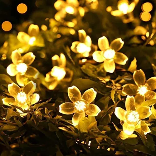 25 LED 4 Meter Blossom Flower Fairy String Lights