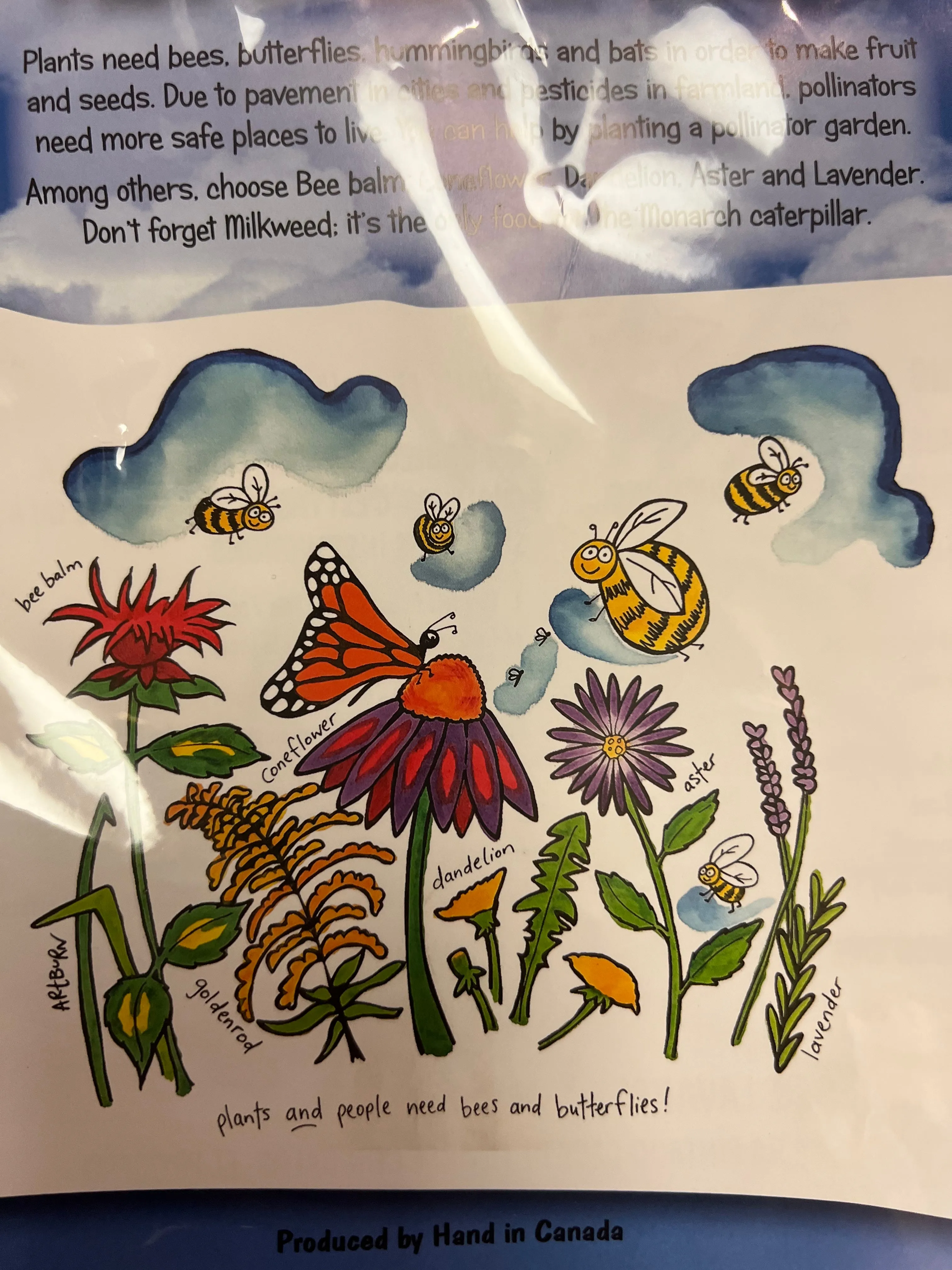 Artburn Paint Your Own Pillow Case Garden, Plant A Pollinator