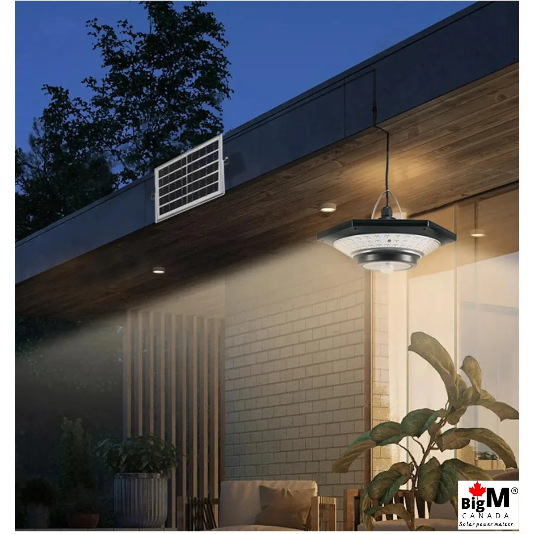 BigM 228 led solar shed light with 3 different color temperatures