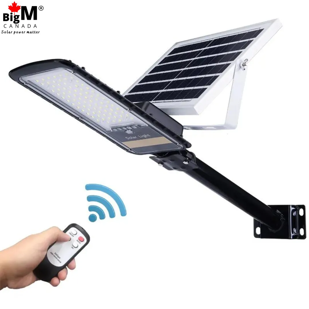 BigM 80W Solar Street Lights with Aluminum Body Adjustable Solar Panel