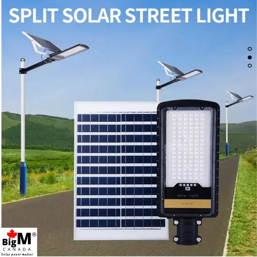 BigM 80W Solar Street Lights with Aluminum Body Adjustable Solar Panel