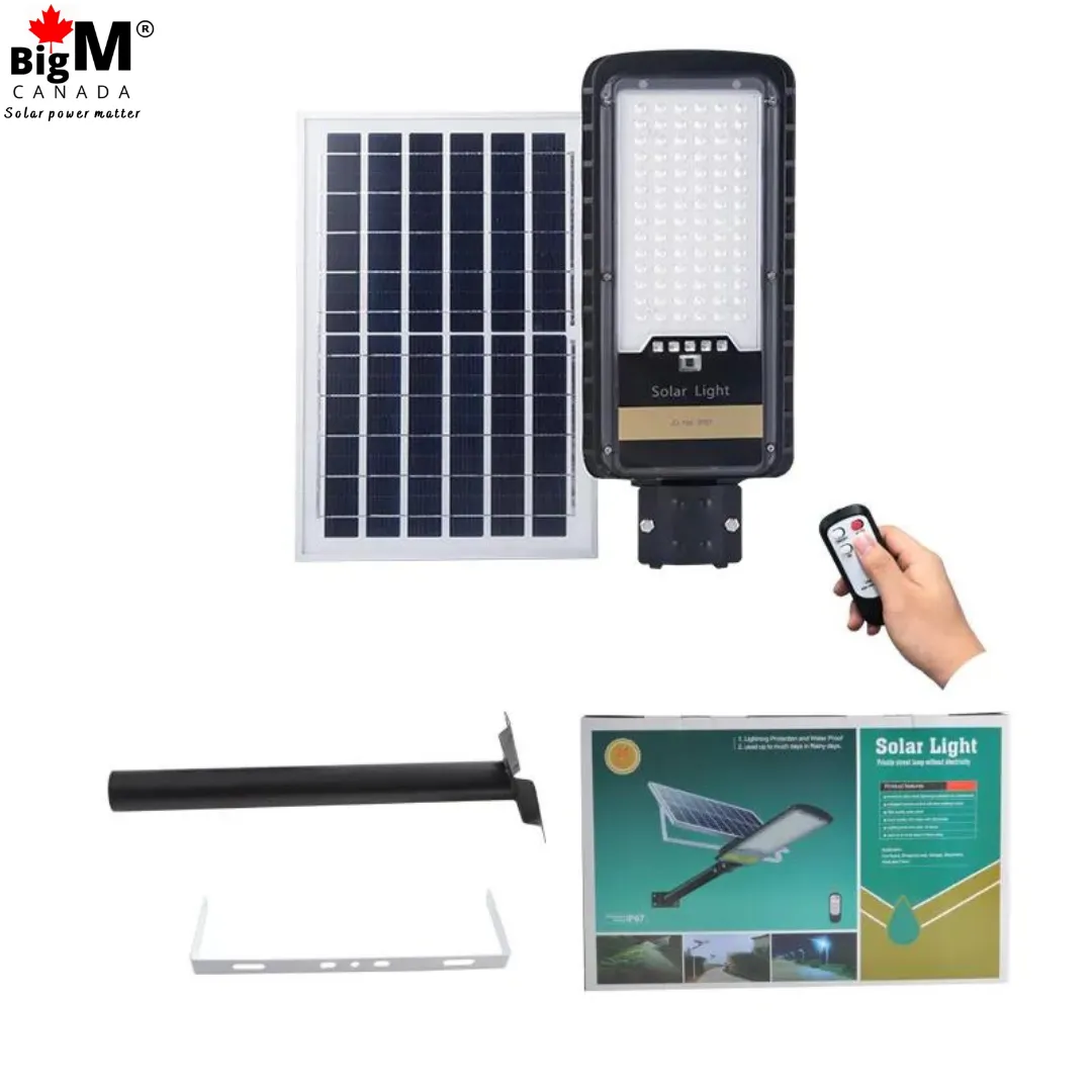 BigM 80W Solar Street Lights with Aluminum Body Adjustable Solar Panel