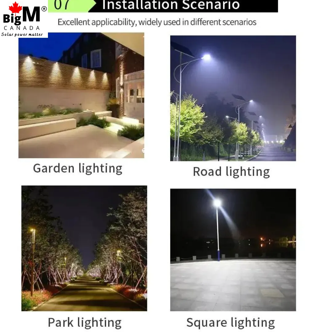 BigM 80W Solar Street Lights with Aluminum Body Adjustable Solar Panel