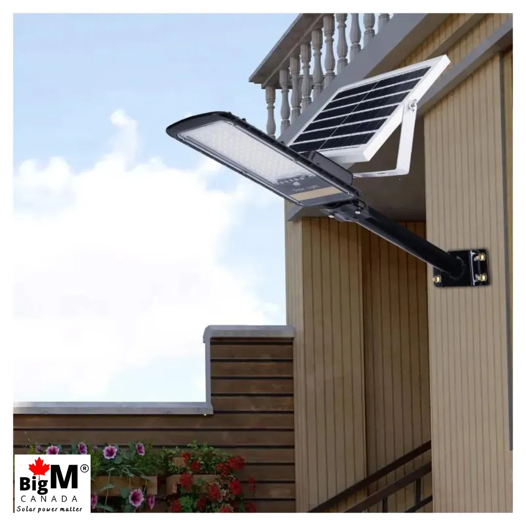 BigM 80W Solar Street Lights with Aluminum Body Adjustable Solar Panel