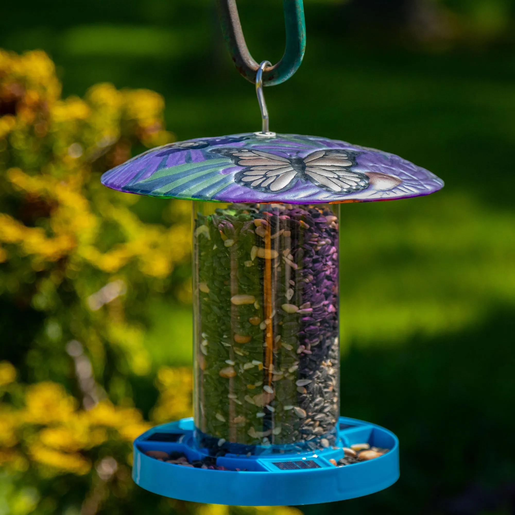 Bright & Bold Solar Bird Feeder