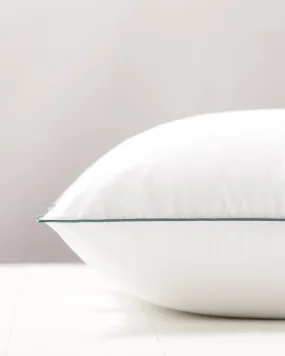 CBD Pillow Protector