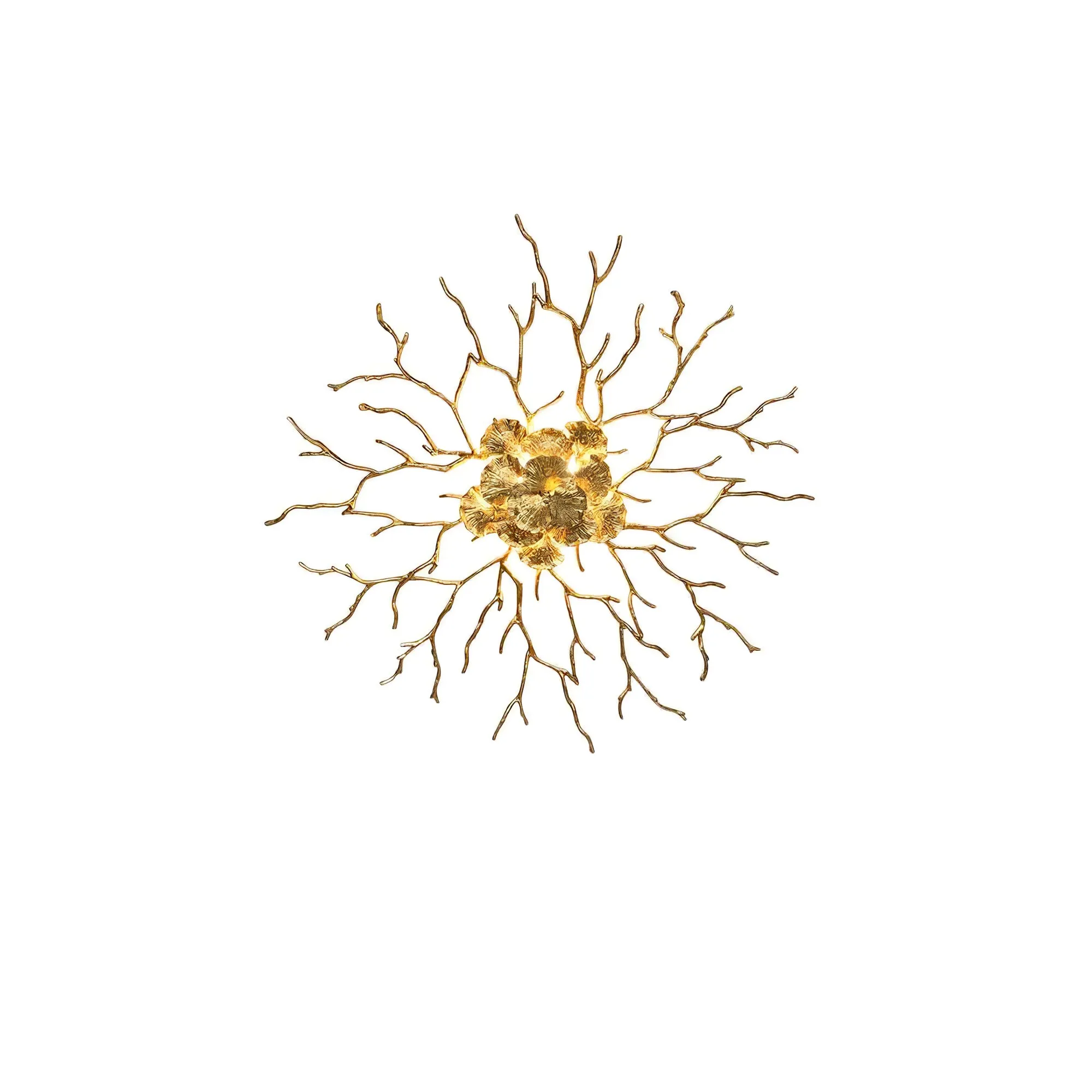 Coral Zoa Eye Wall Lamp