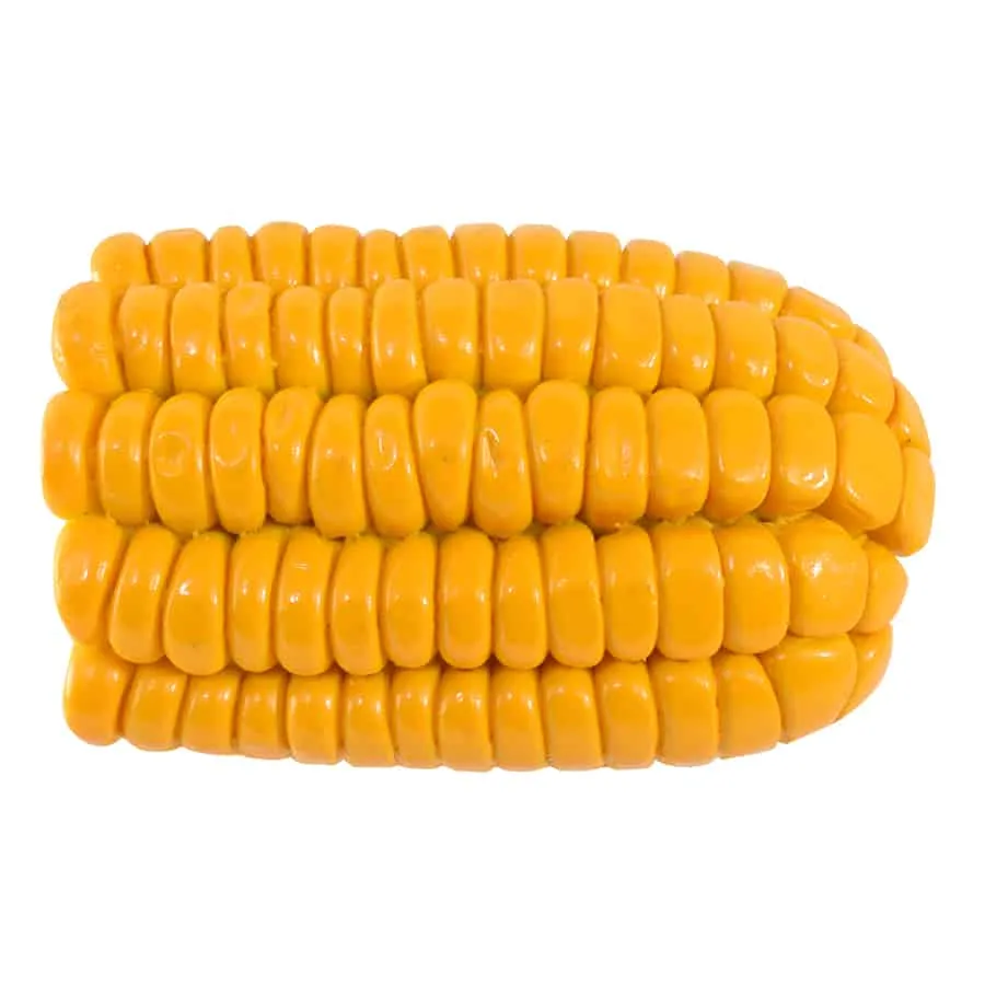 Corn Brush