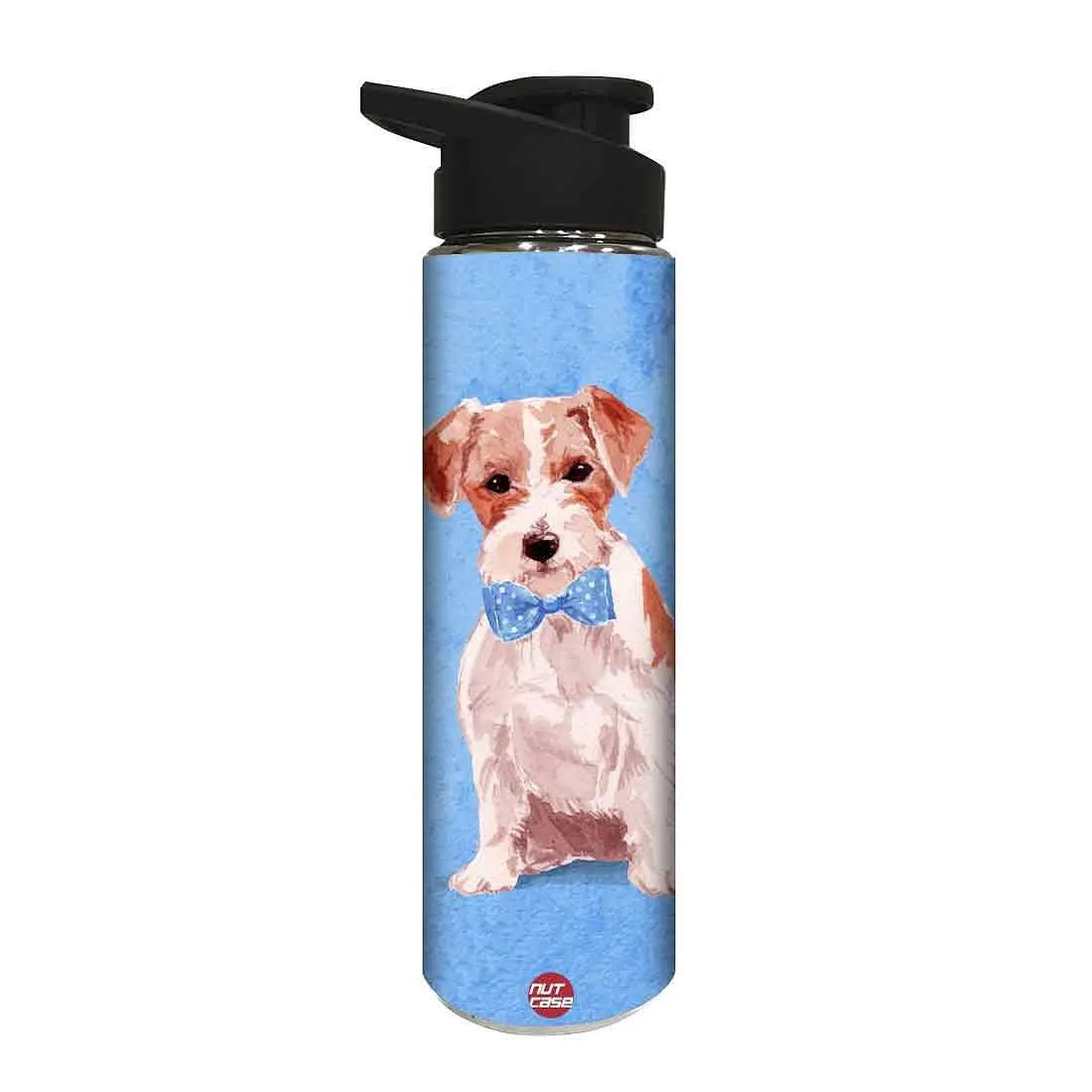 Designer Sipper Metal Drink Bottle for Children - Nice Dog