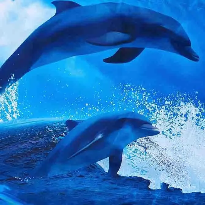 Dolphins Jumping out of Blue Water Print Polyester 3D Bedding Sets