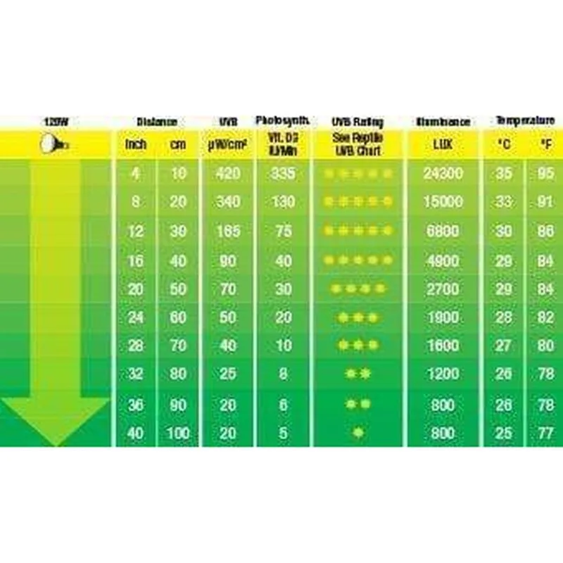 Exo Terra Solar Glo Sun Simulating Bulb