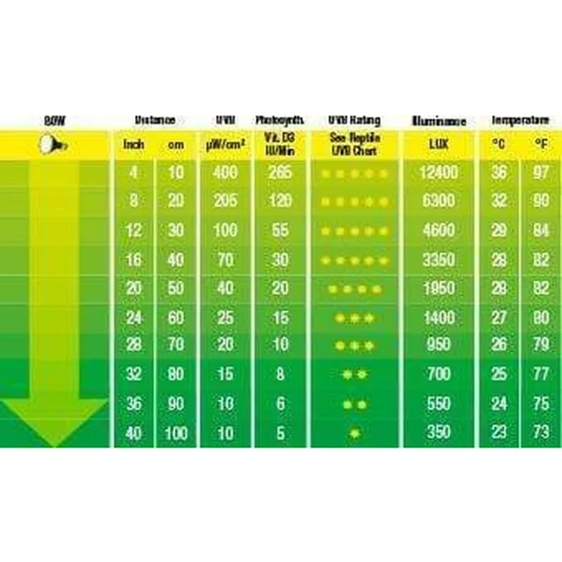 Exo Terra Solar Glo Sun Simulating Bulb