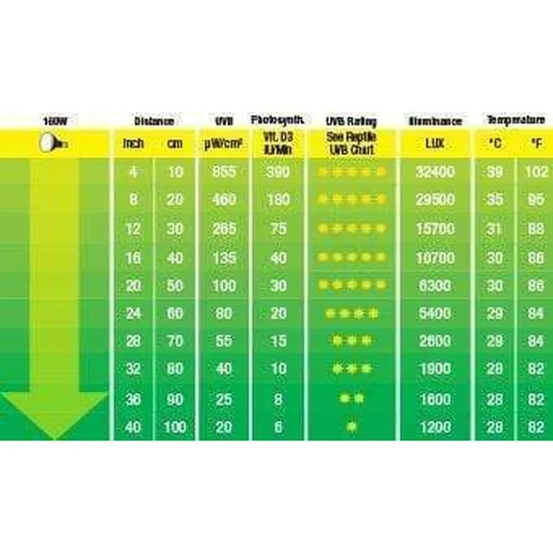 Exo Terra Solar Glo Sun Simulating Bulb