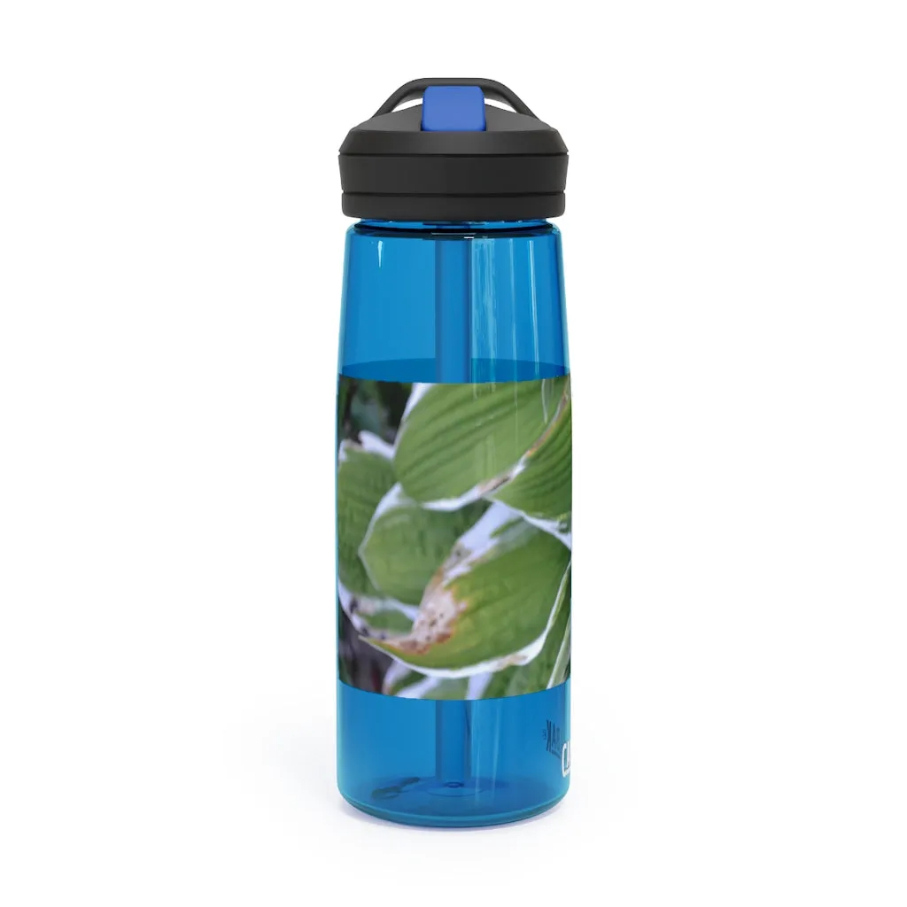 Green Leaves CamelBak Eddy®  Water Bottle, 20oz / 25oz