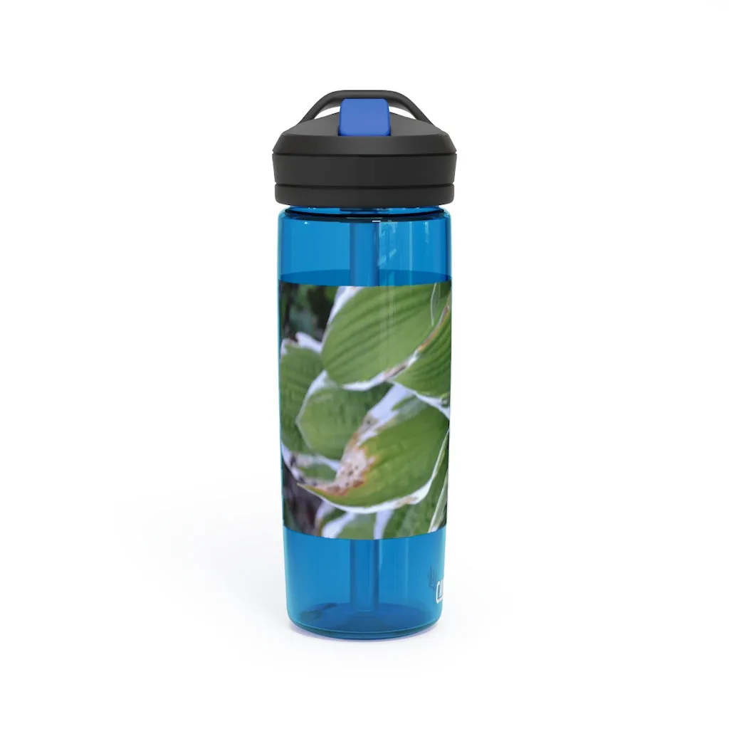 Green Leaves CamelBak Eddy®  Water Bottle, 20oz / 25oz