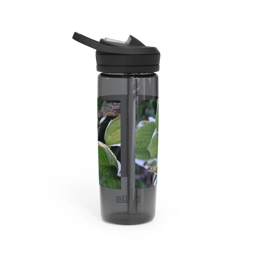 Green Leaves CamelBak Eddy®  Water Bottle, 20oz / 25oz