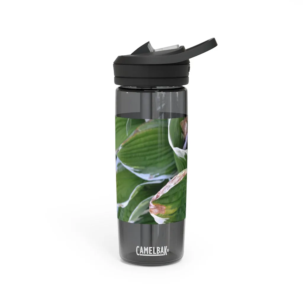 Green Leaves CamelBak Eddy®  Water Bottle, 20oz / 25oz