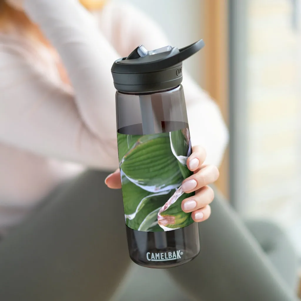 Green Leaves CamelBak Eddy®  Water Bottle, 20oz / 25oz