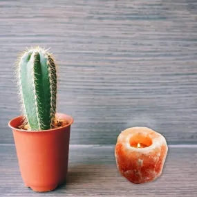 Himalayan Salt Tea Light Holder