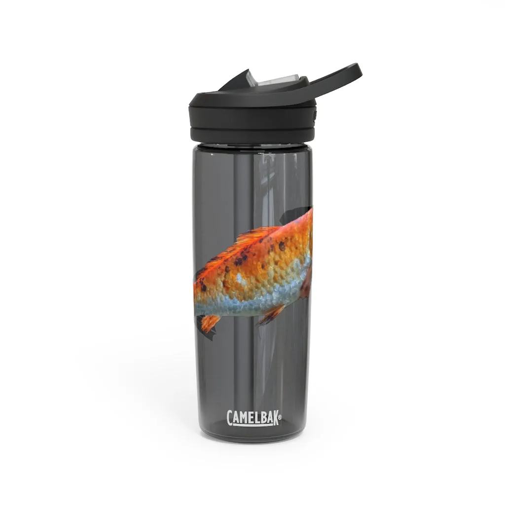 Orange Fish CamelBak Eddy®  Water Bottle, 20oz / 25oz