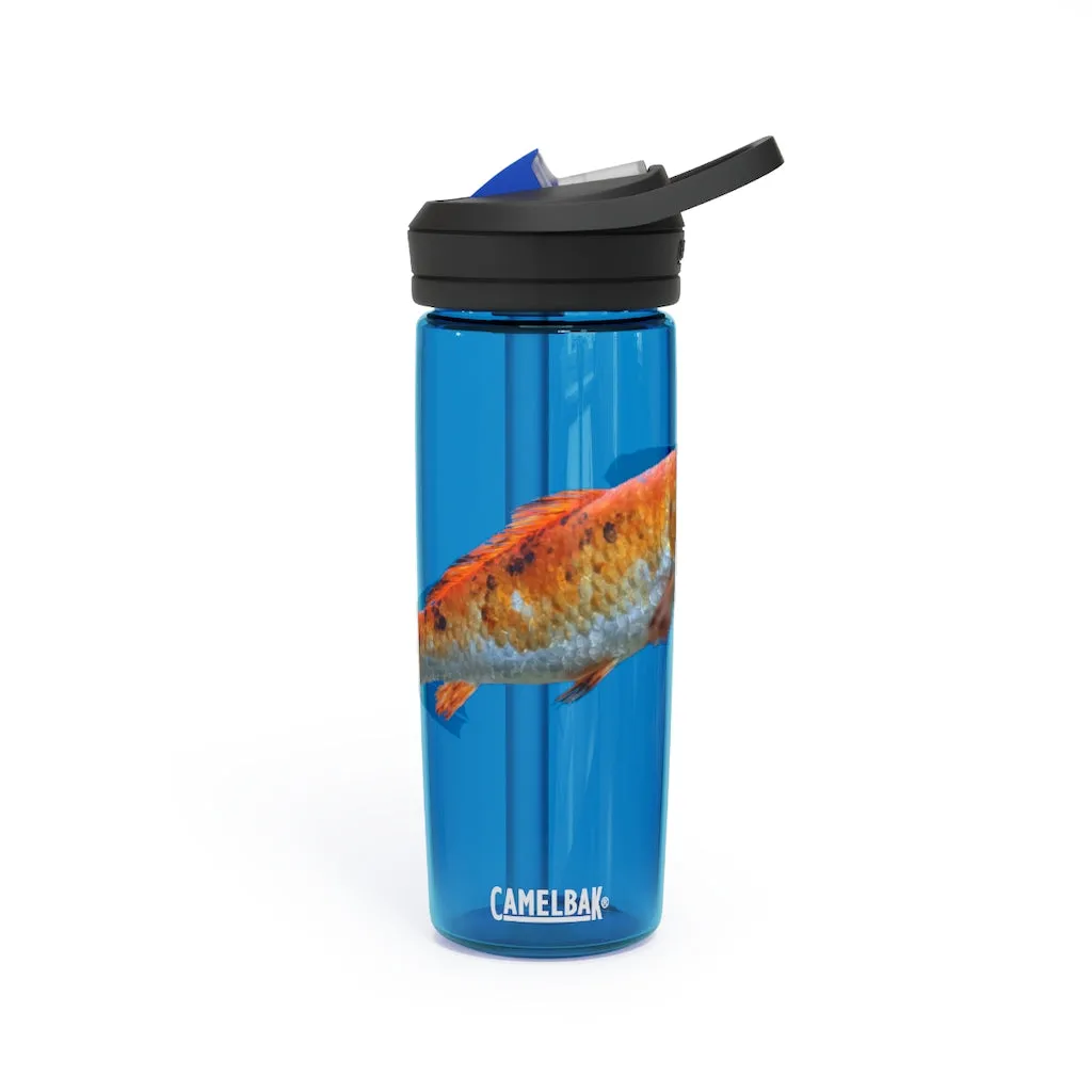 Orange Fish CamelBak Eddy®  Water Bottle, 20oz / 25oz