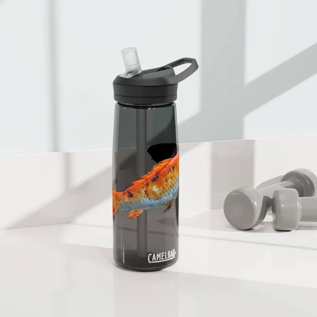 Orange Fish CamelBak Eddy®  Water Bottle, 20oz / 25oz