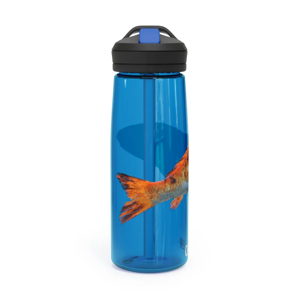 Orange Fish CamelBak Eddy®  Water Bottle, 20oz / 25oz