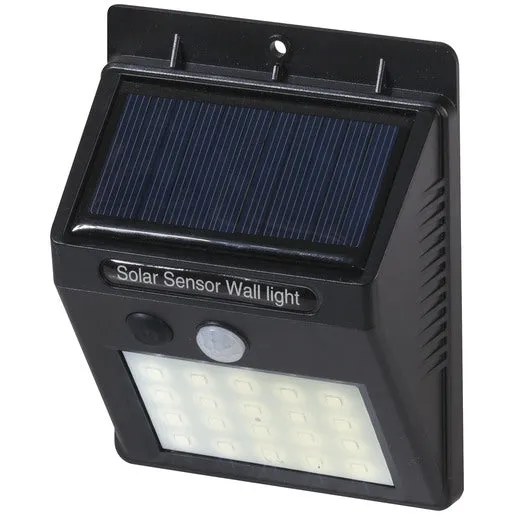 Outdoor solar motion light