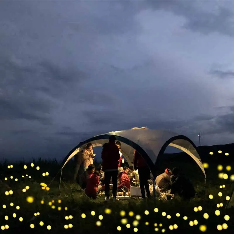 SolarFly® | Stunning Solar Powered Firefly Lights