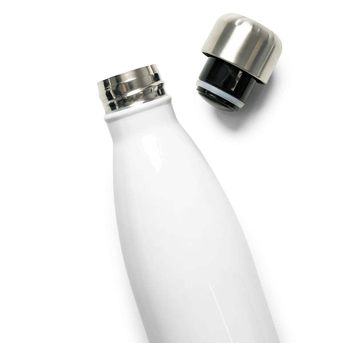 Stainless Steel Water Bottle