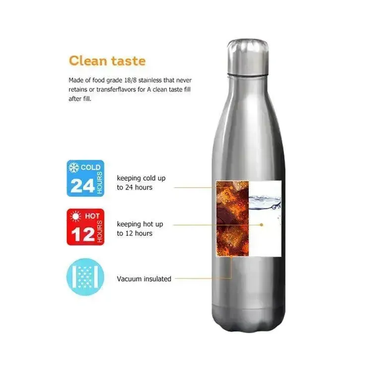 Sunny Day Cola Metal Water Bottle (500 ml)