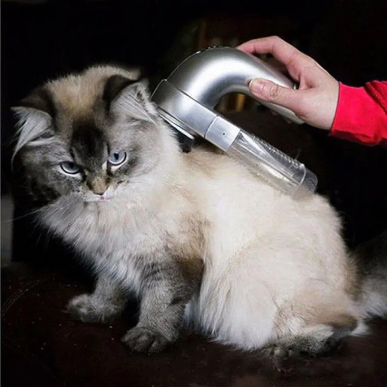 TAILUP Pet Hair Remover Vacuum - Effortless Grooming for Dogs & Cats!