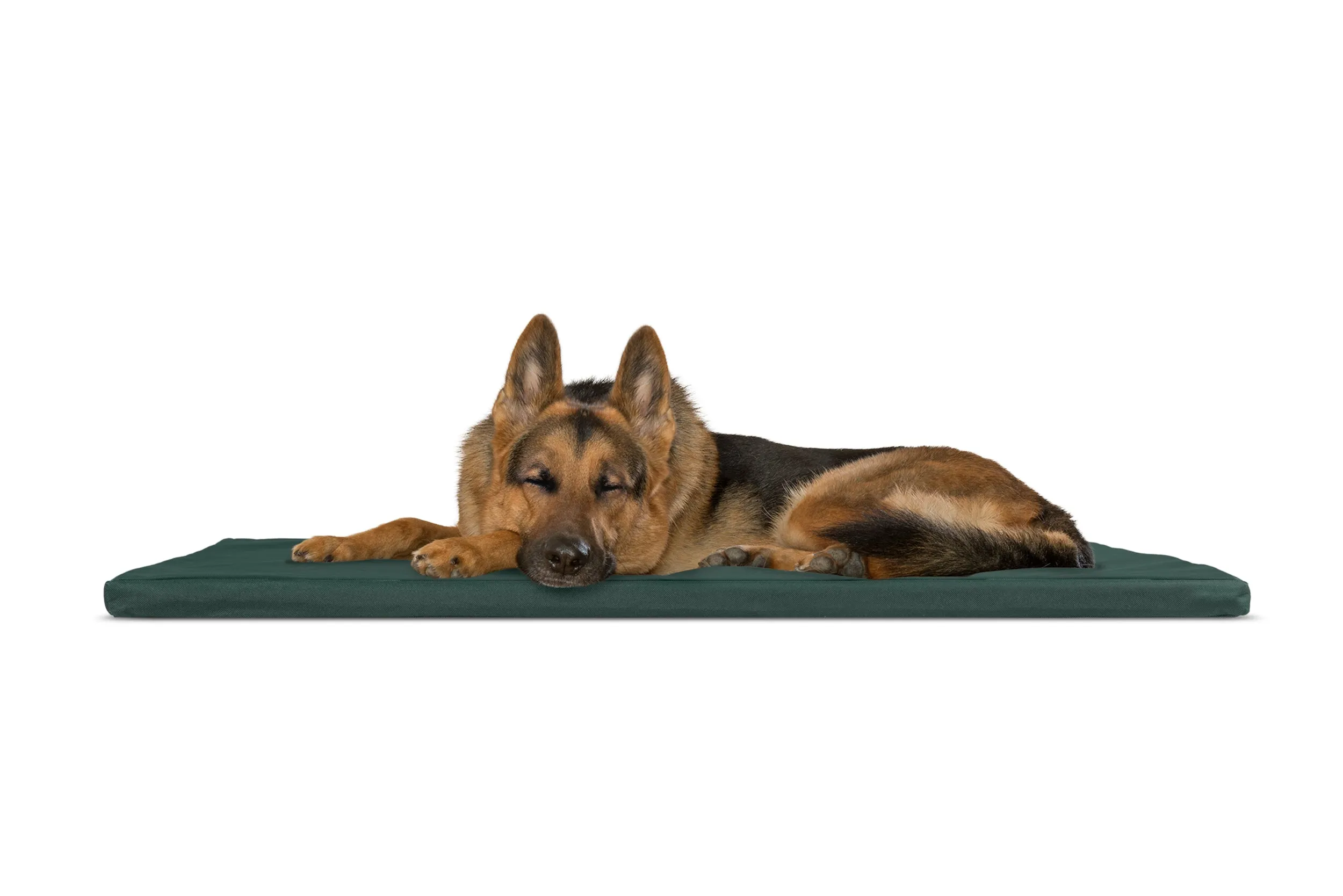 Water-Resistant Kennel Pad for Crates & Kennels